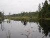 Second beaver pond